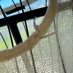 Loose knit angora tee!